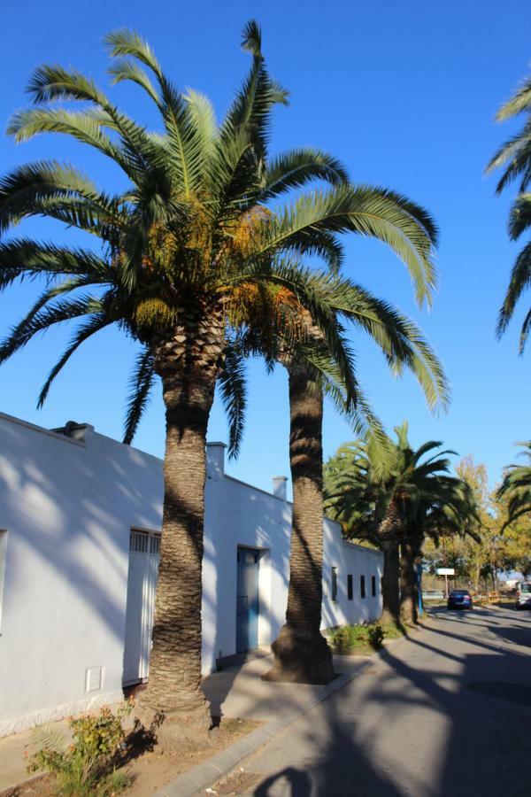 Affittacamere Lo Segador El Poblenou del Delta Esterno foto
