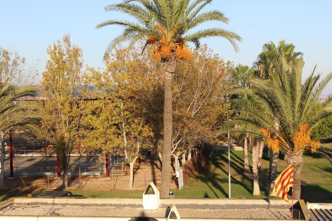 Affittacamere Lo Segador El Poblenou del Delta Esterno foto